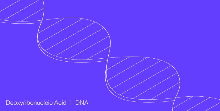 DNA